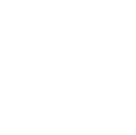 bank icon - Website Development & Optimization