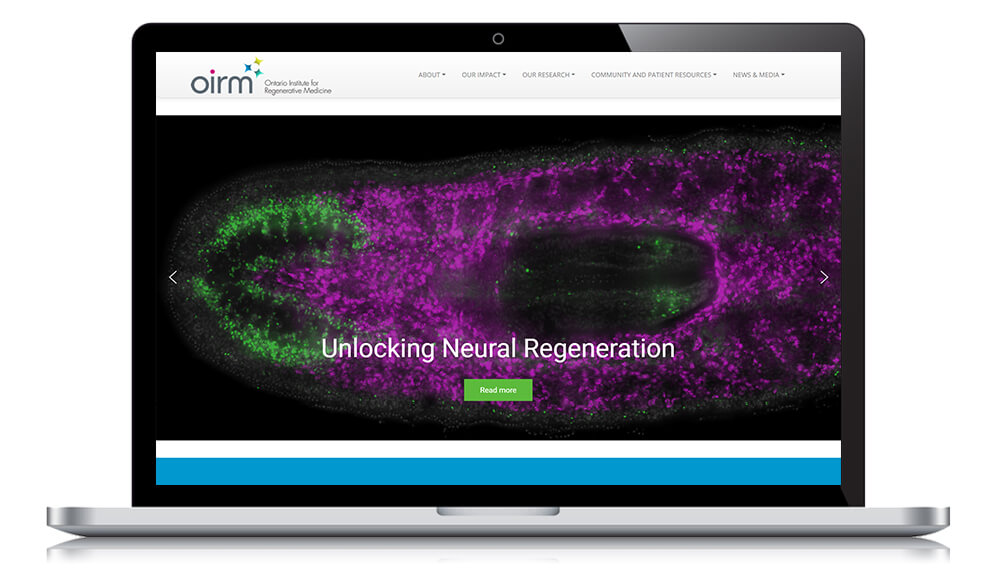 Featured Client: ORIM