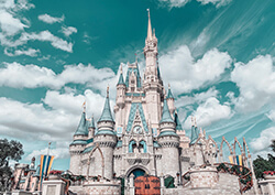 Ah Florida! replace disney world - Ah Florida!